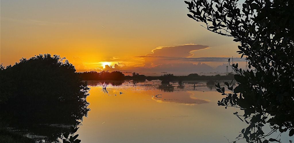 Merritt Island National Wildlife Refuge under the sunset. 