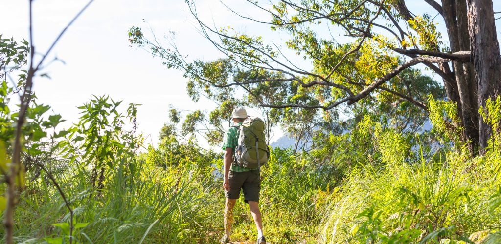 tropical hike