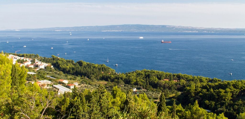 An uphill view of the sea and green trees at down hill. 