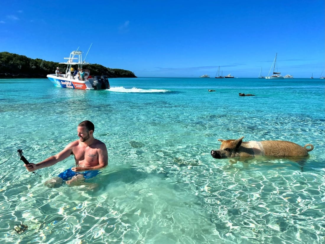 swimming with pigs in the bahamas