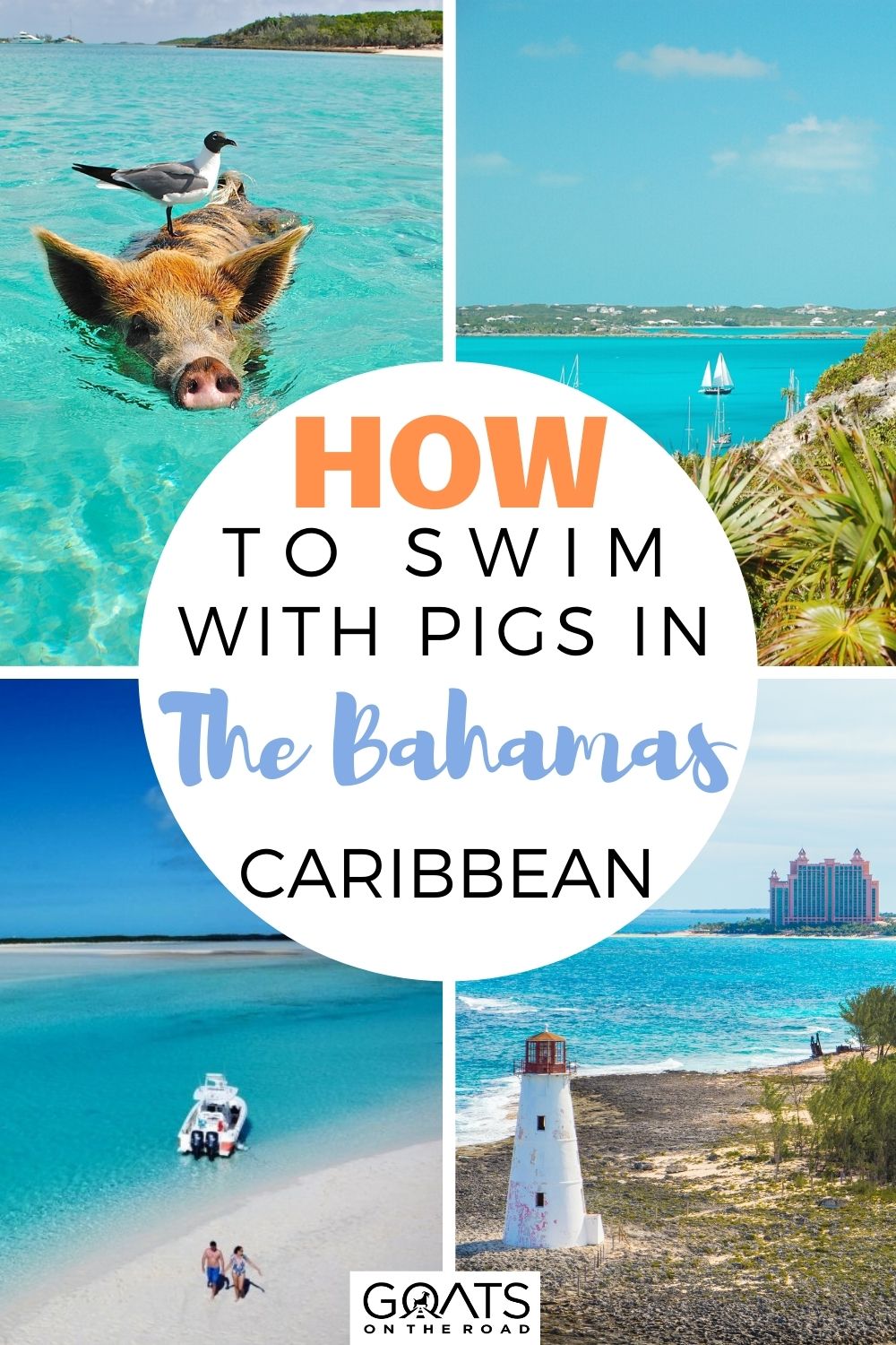 How to Swim with Pigs in The Bahamas