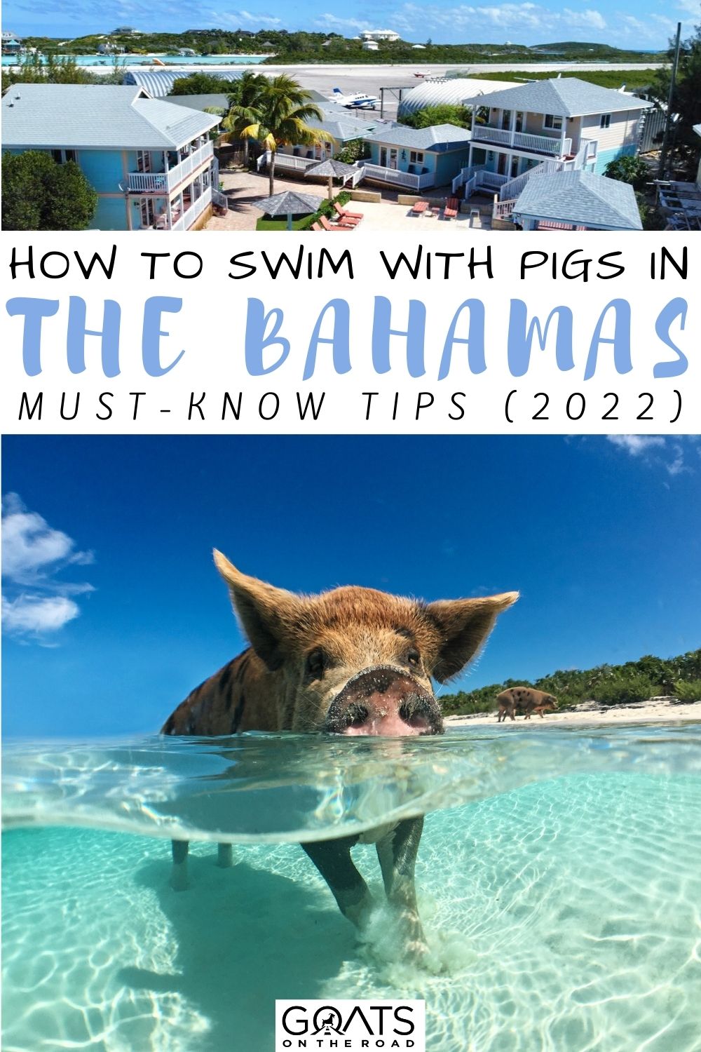 “How To Swim With Pigs In The Bahamas: Must-Know Tips (2022)