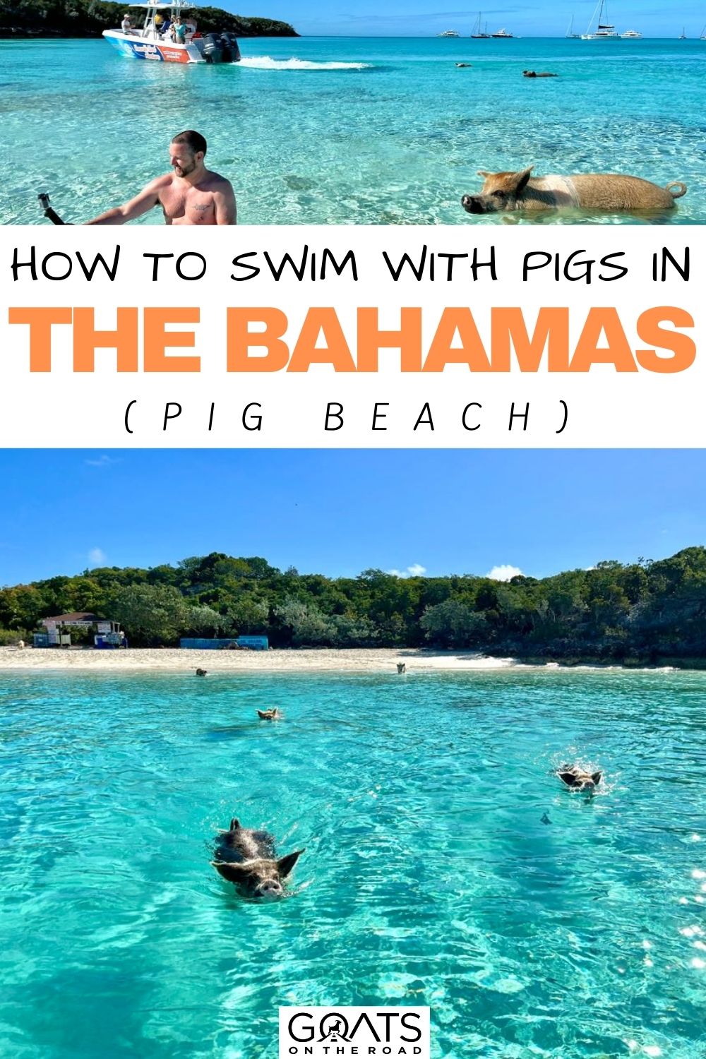 “How To Swim With Pigs in The Bahamas (Pig Beach)