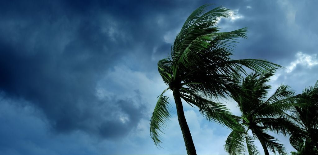 tropical storm weather
