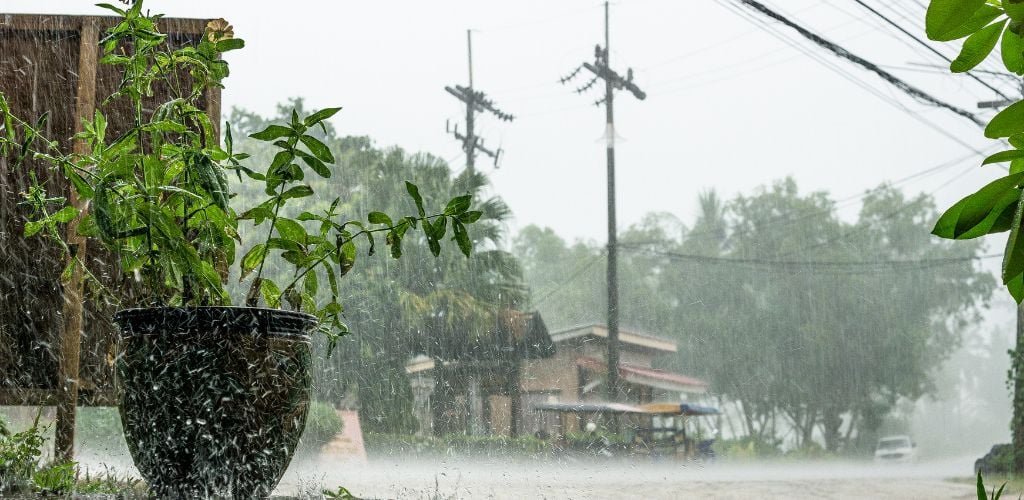 tropical rain weather conditions