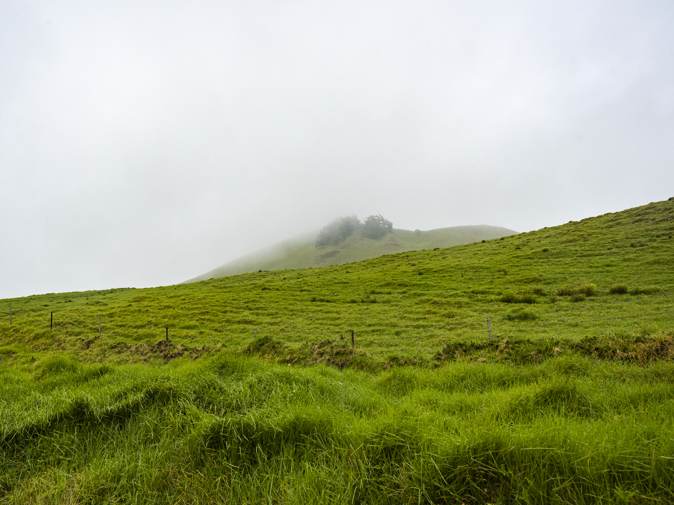 The rolling hills of Waimea, HI, on January 30, 2024. The rural town is situated between Mauna Kea and the Kohala Mountains.