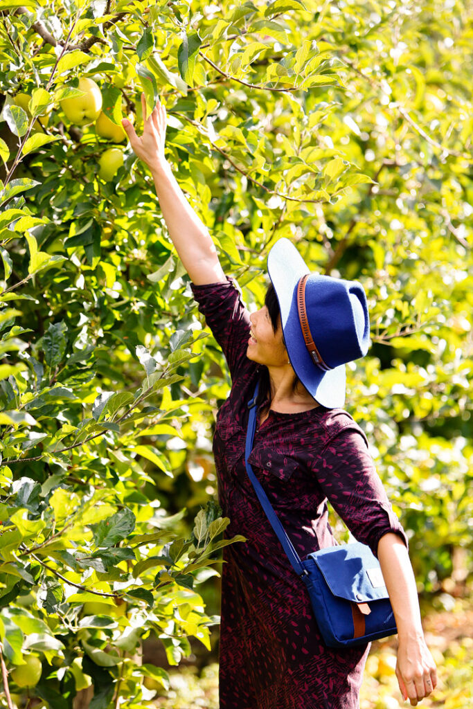 Hood River Apple Picking // localadventurer.com