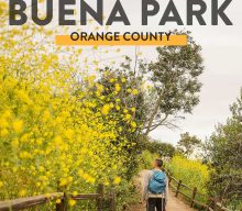 7+ Fun Things to Do in Buena Park CA