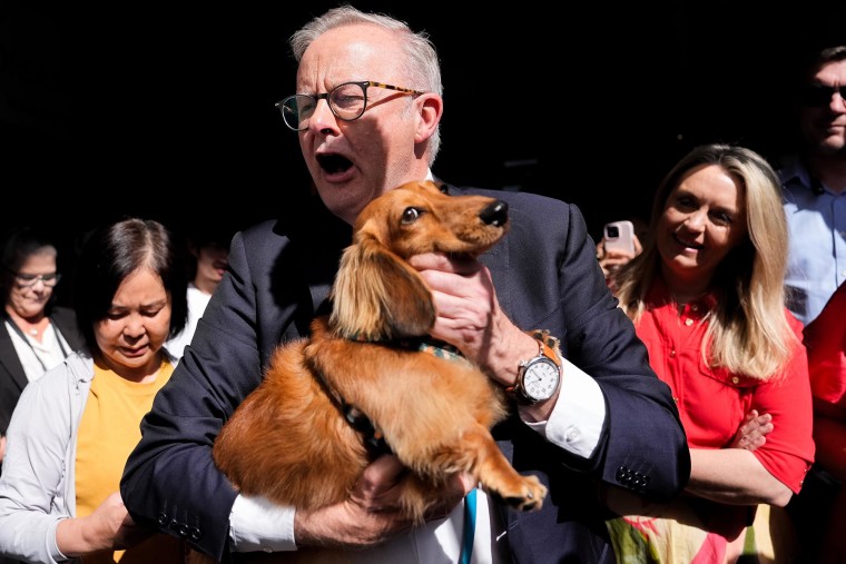 Australian Prime Minister Anthony Albanese holds a member of the public's dog during a visit to Sunnybank Market Square on April 29, 2025 in Brisbane.