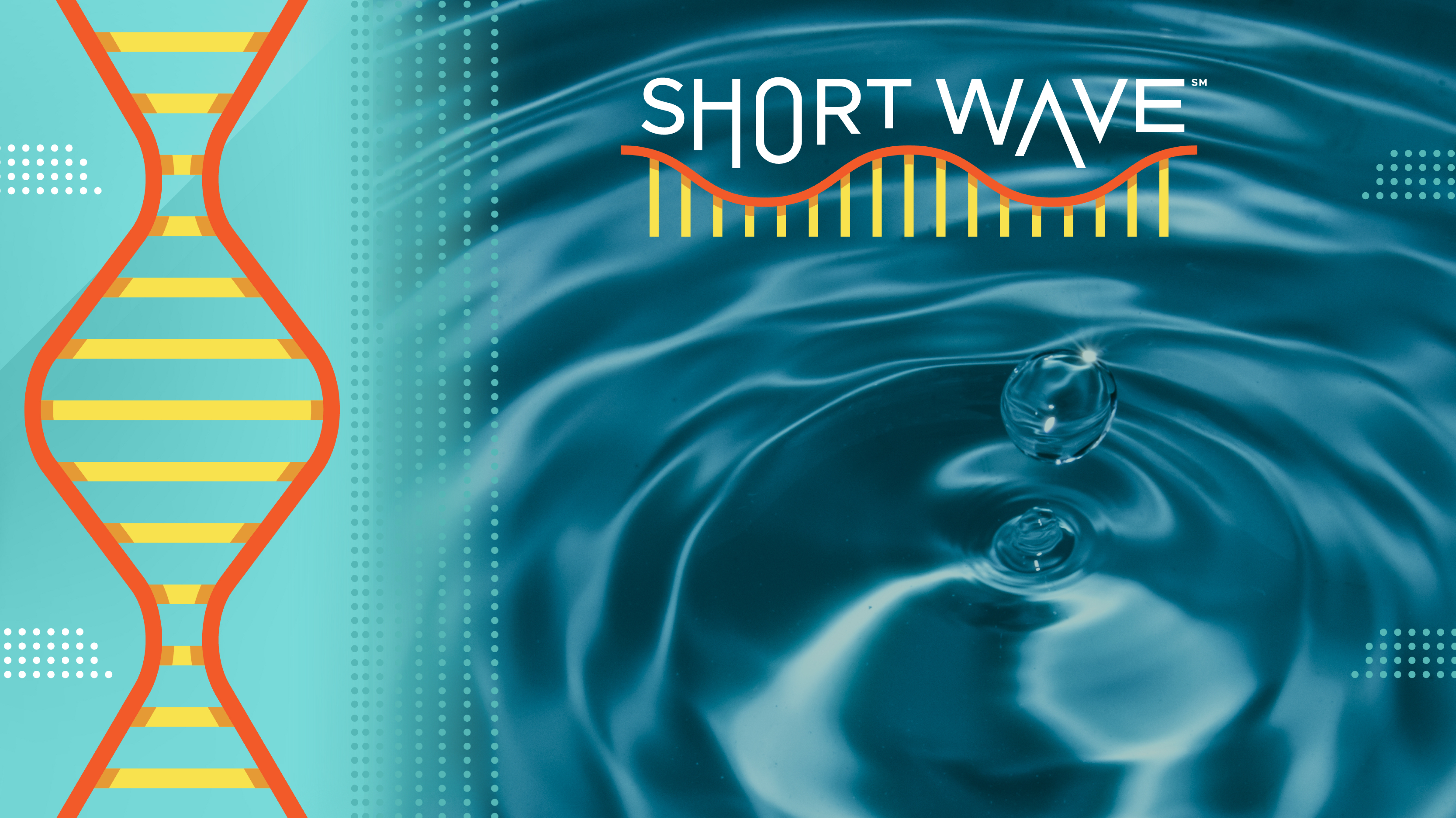 Water is a precious resource. Should we be concerned about the amount that generative AI requires to function?