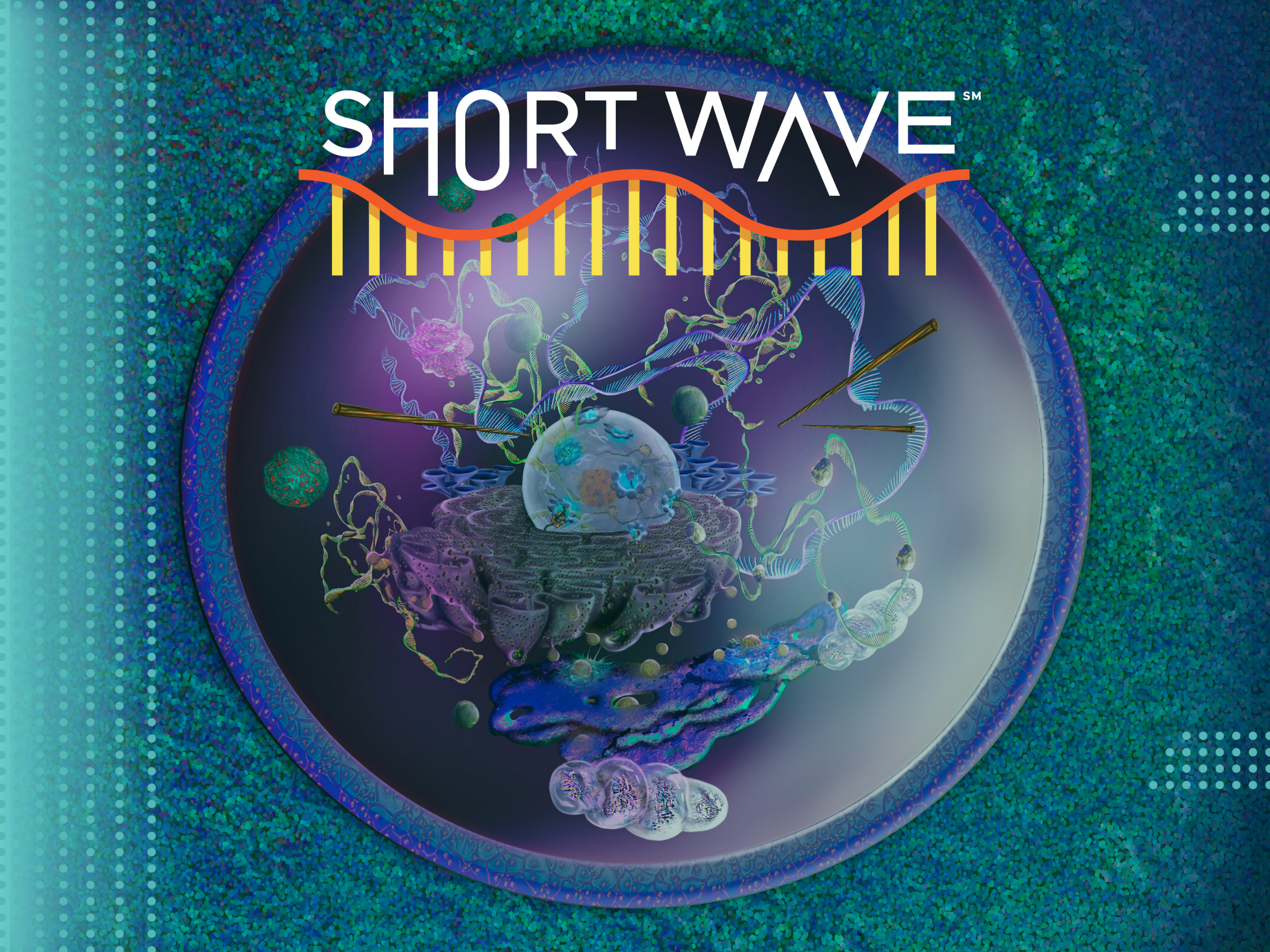 The inside of a cell is a complicated orchestration of interactions between molecules.