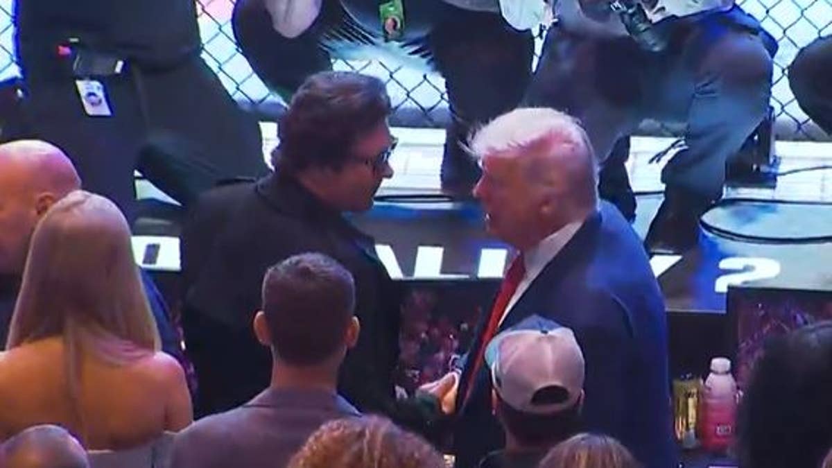 Donald Trump at UFC 316