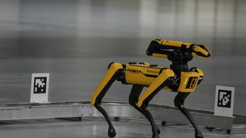 A play about the revolt of human workers — not machines — gave us the word ‘robot’
