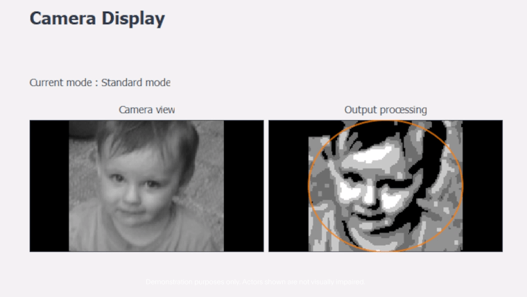 The image on the right shows what the camera sends to the user's implanted microchip.