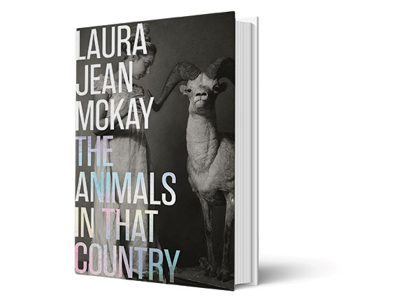 cover of book
