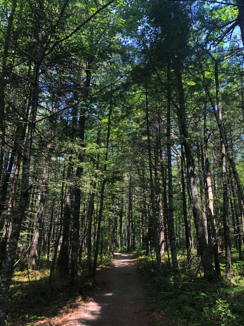 kejimikujik nova scotia