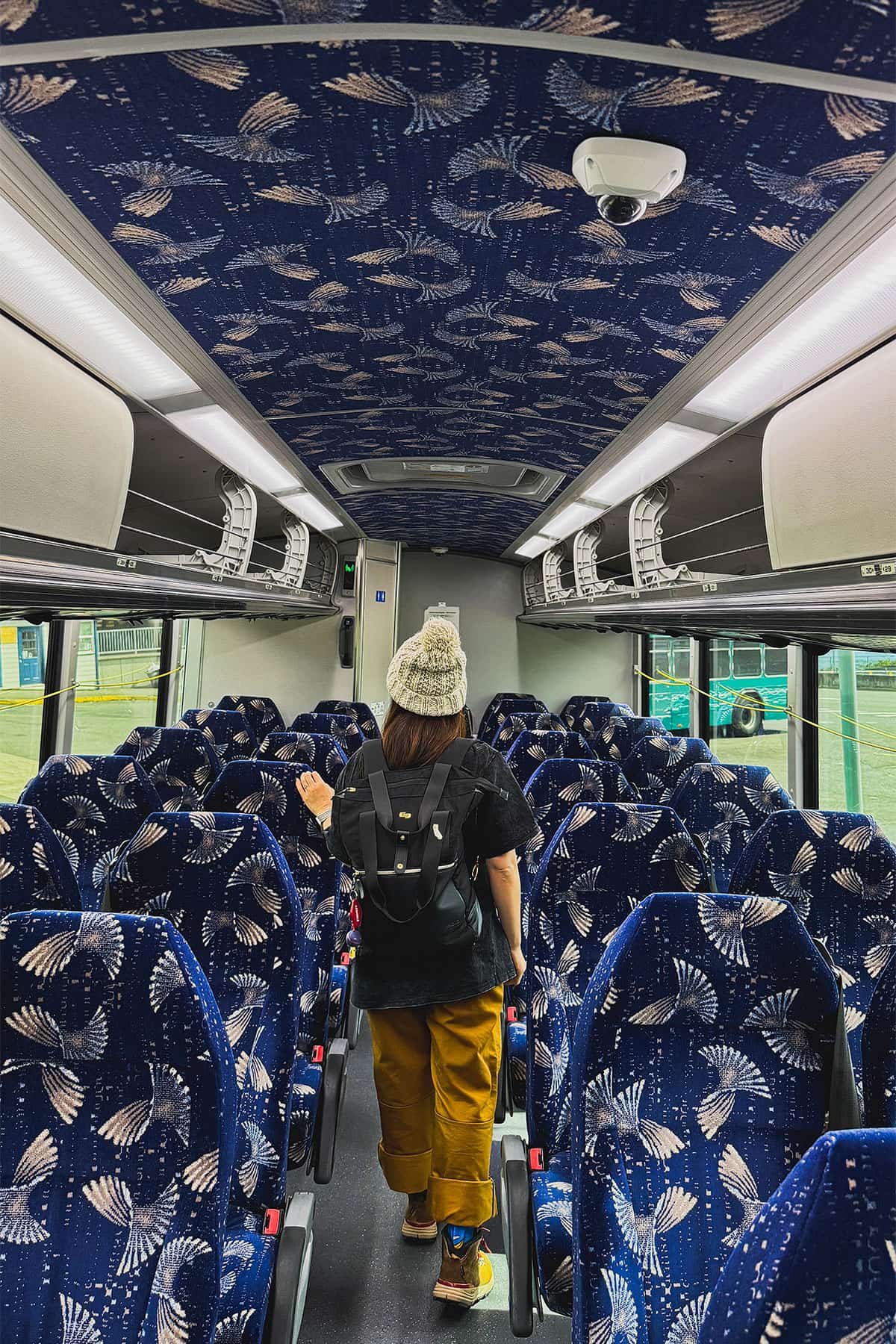 clallam transit bainbridge island to port angeles