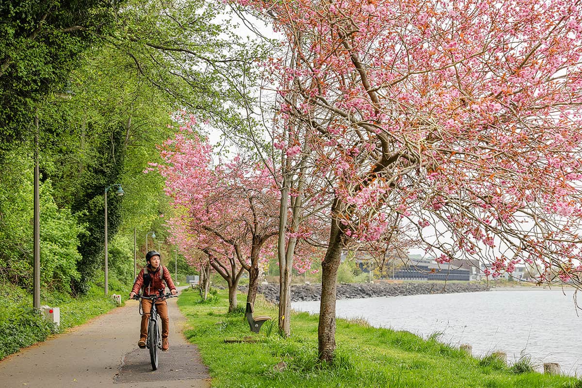 olympic discovery trail bike