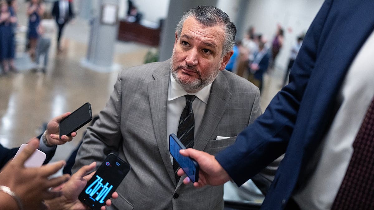 Senator Cruz speaking to the media.