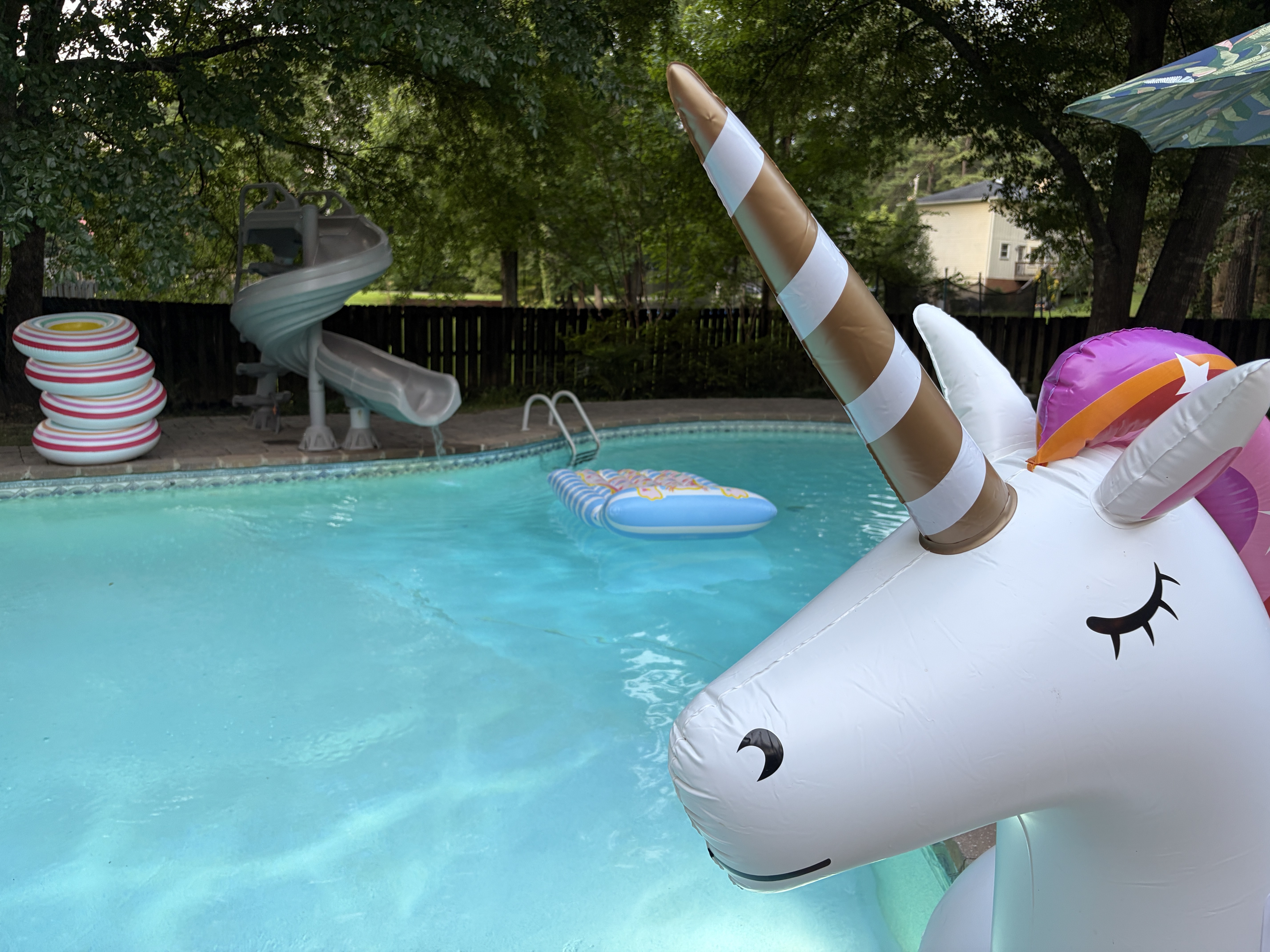 The Endless Summer Oasis pool listing on Swimply gets more than 1,000 guests a season, according to owner Jasmine Lawson in Birmingham, Ala.