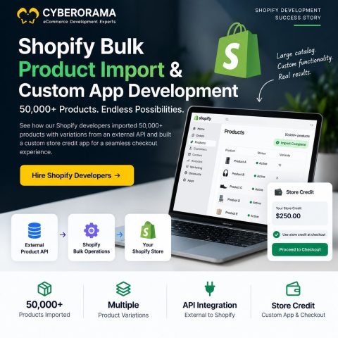 Shopify Development Success